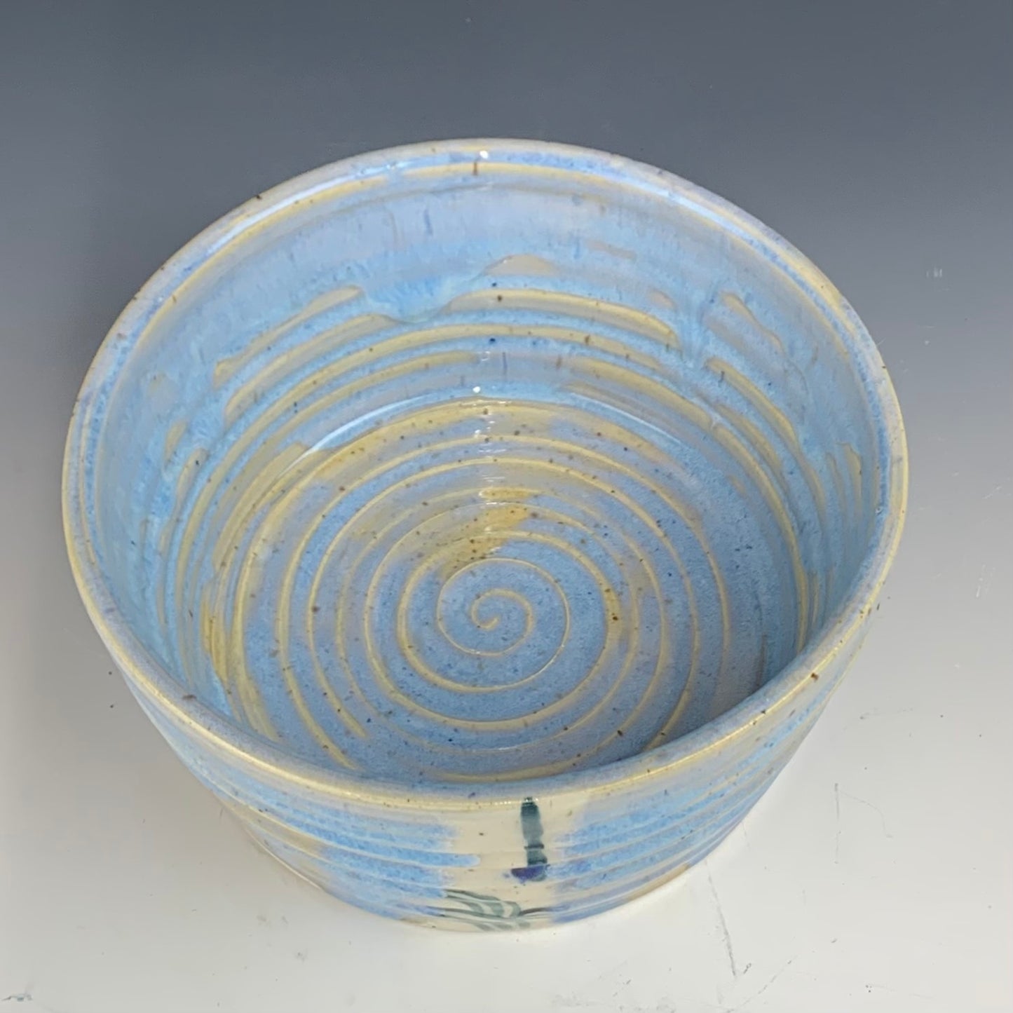 Blue Oribe Leftover Storage Container