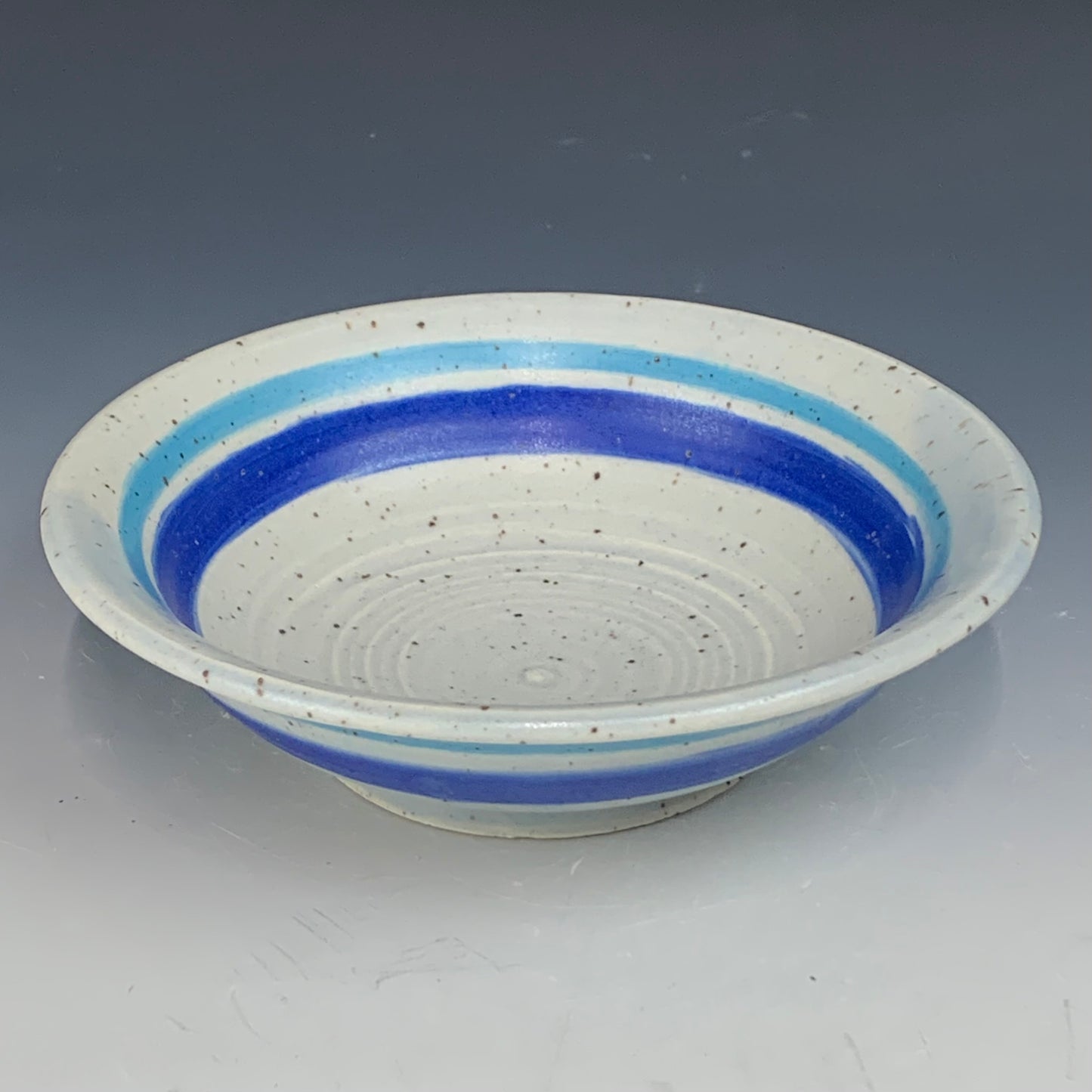 Blue Ice Cream Bowl