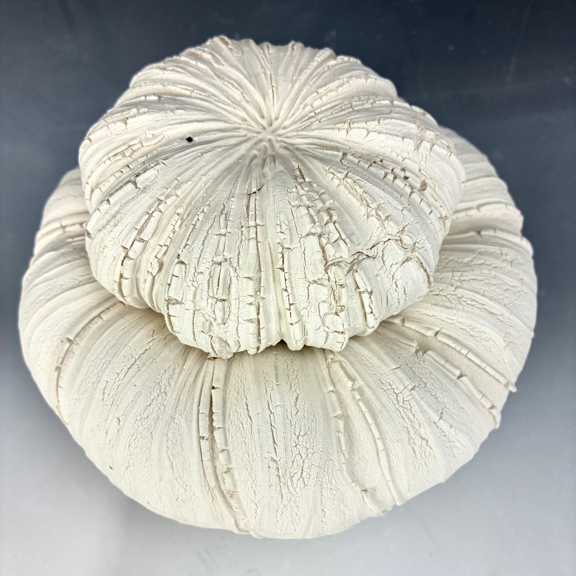 White textured ceramic sculpture on a gradient background