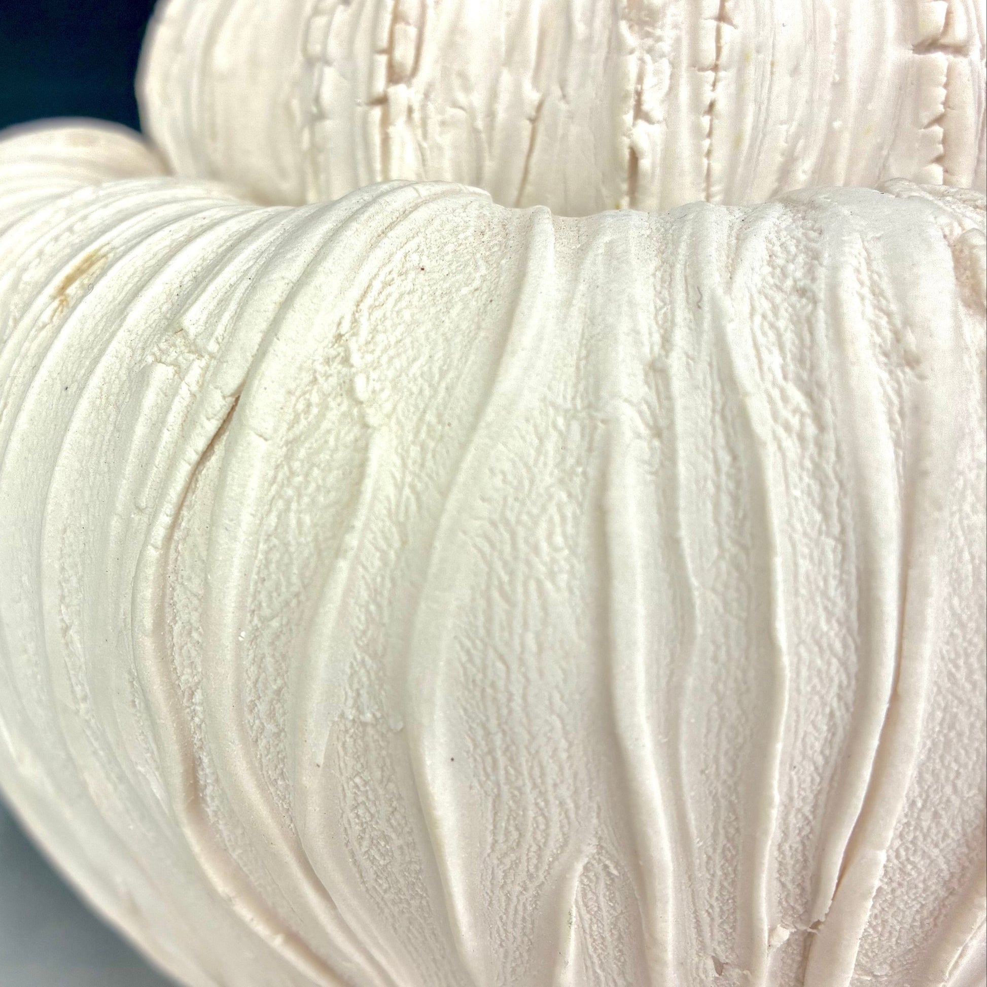 White ceramic bowl with textured surface on a gradient background