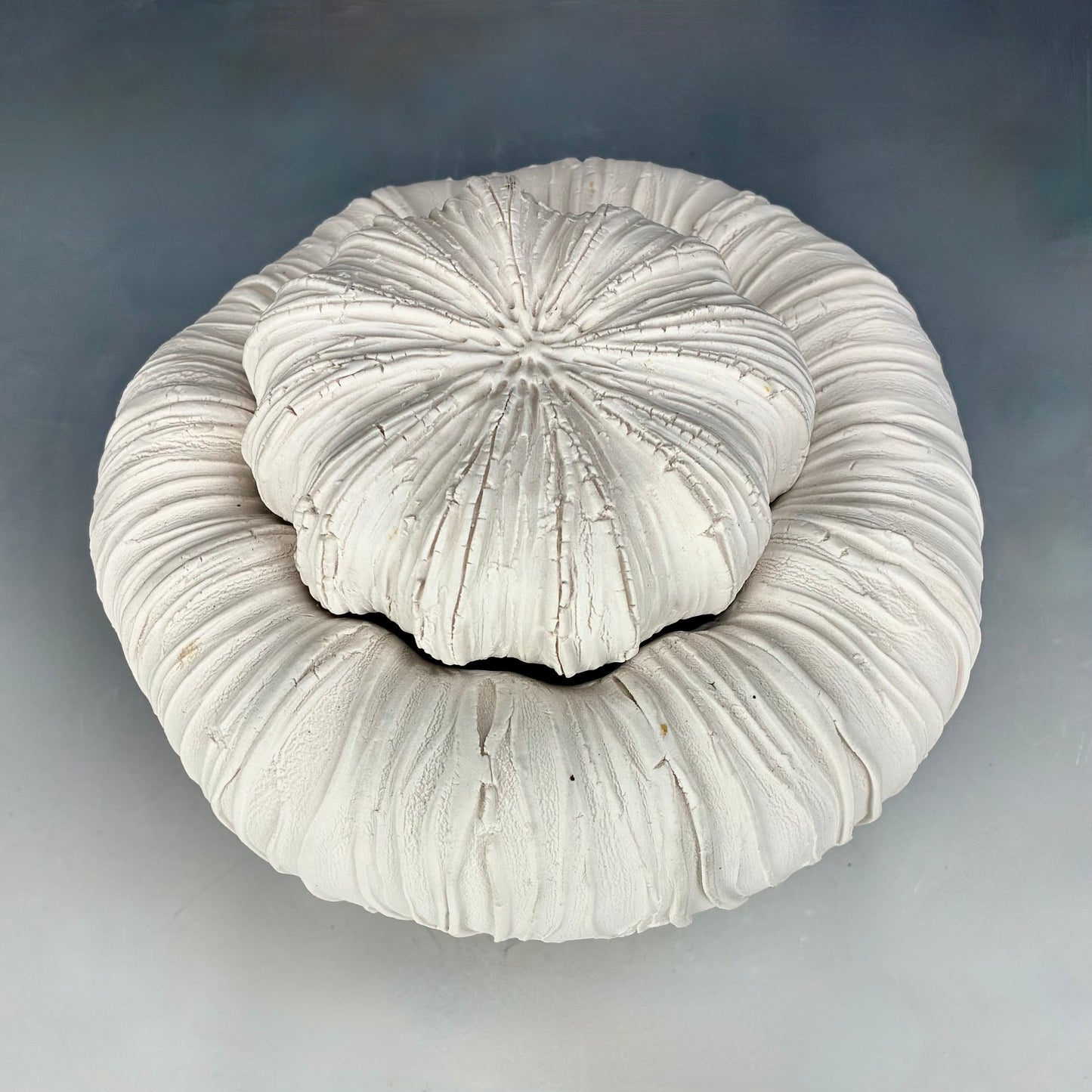 White textured circular object on a gradient gray background