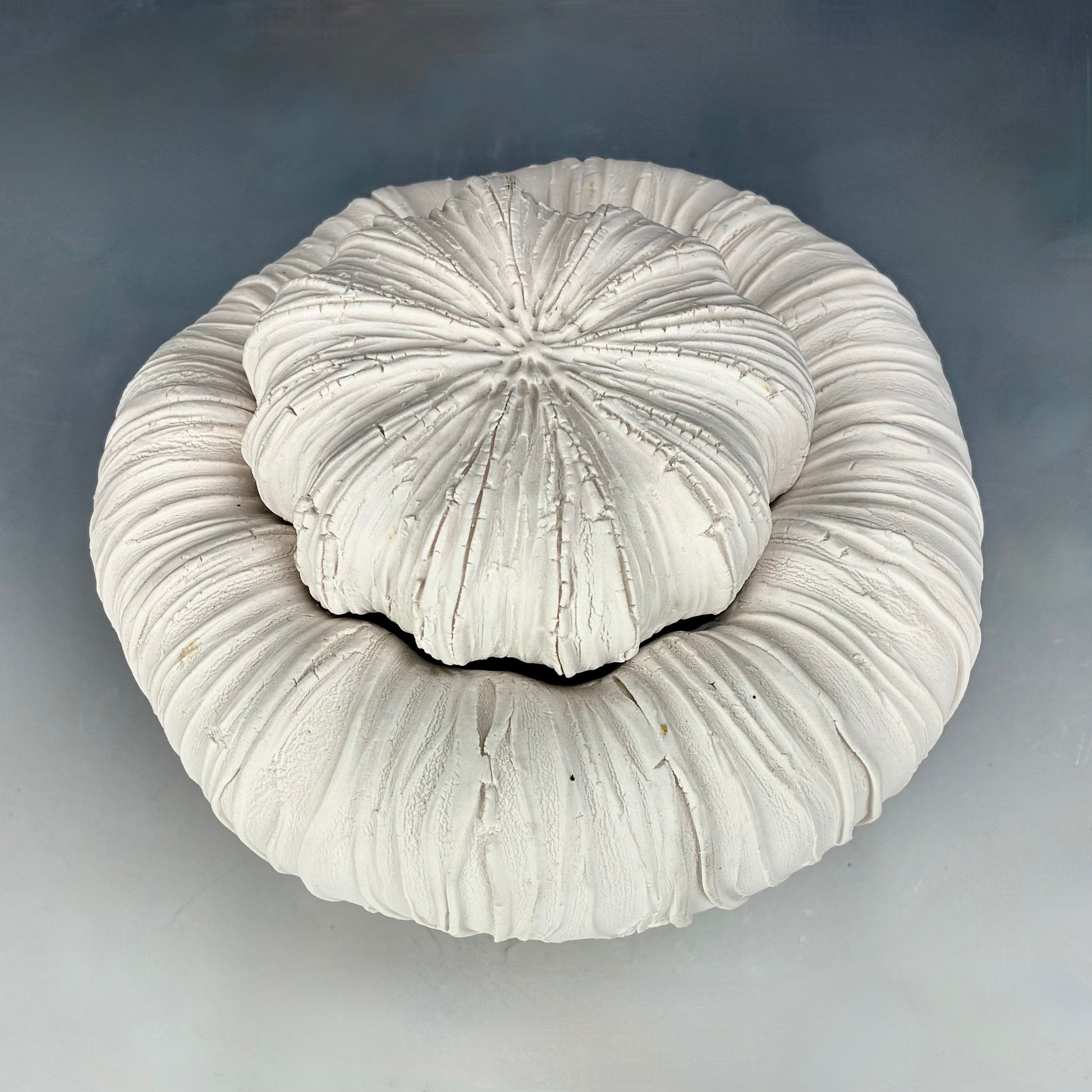 White textured circular object on a gradient gray background